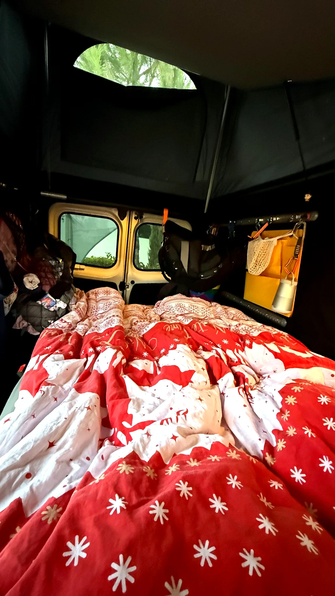 kamper Poznań wynajem rodzina pies