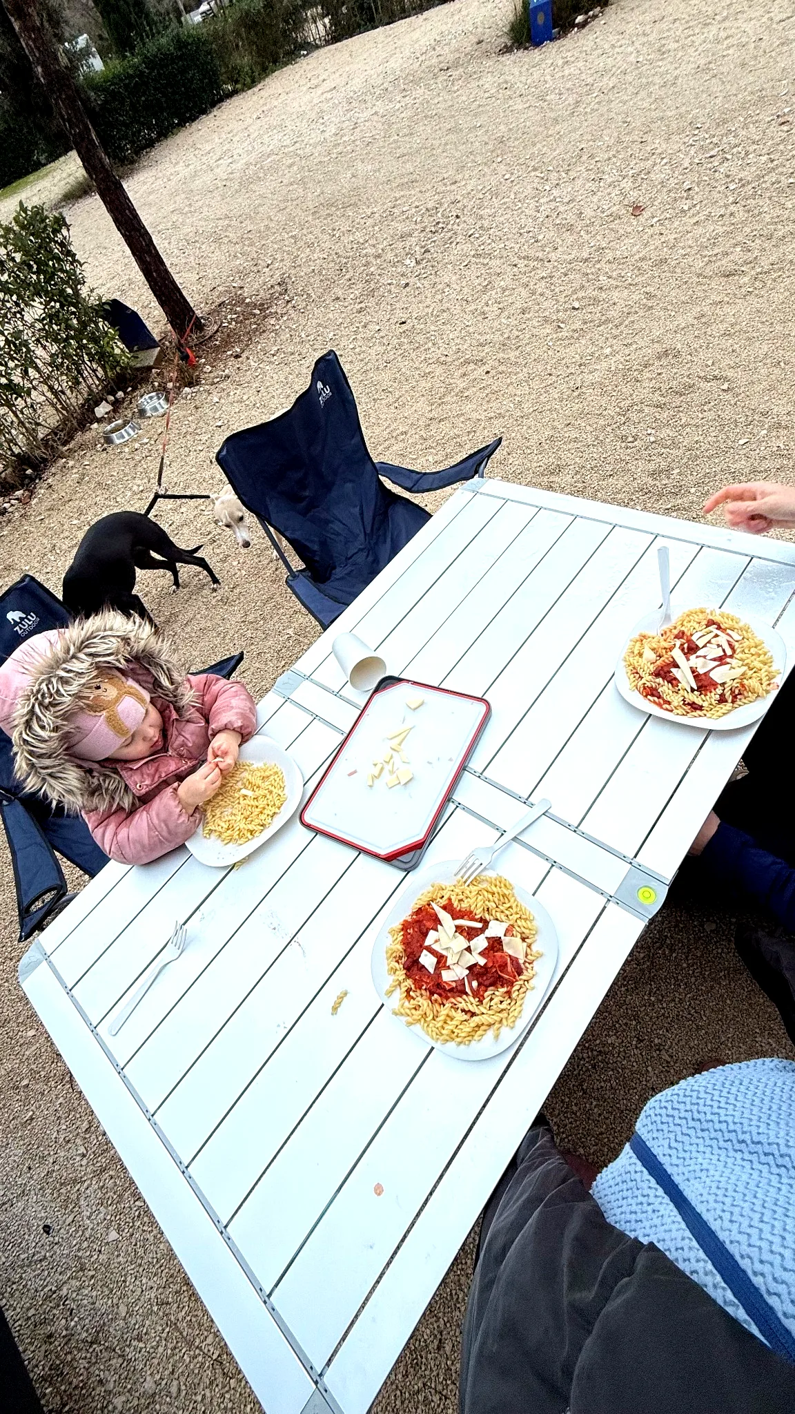 kamper Poznań wynajem rodzina pies