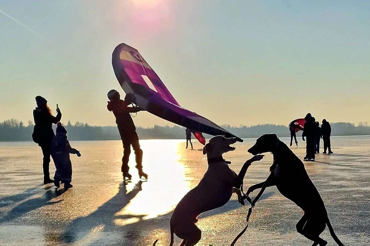 kamper Poznań wynajem rodzina pies